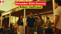December 2025 Grocery Rebate Worth $236 : Eligibility Rules and Direct Deposit Schedule Explained